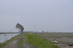 2012.05.18　宮城2