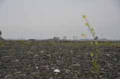 2012.05.18　宮城13