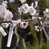 大国魂神社