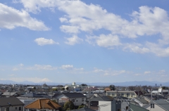春が近い