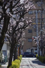 散歩道