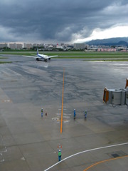 ひと雨過ぎて