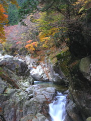 晩秋の滝