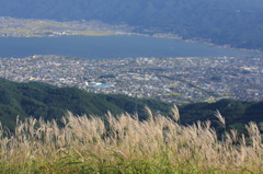 秋の訪れ