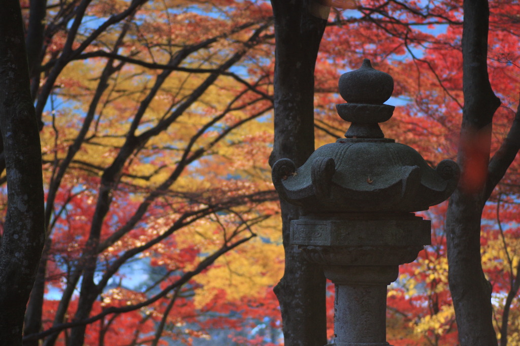 紅葉のある風景