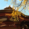 朱と黄