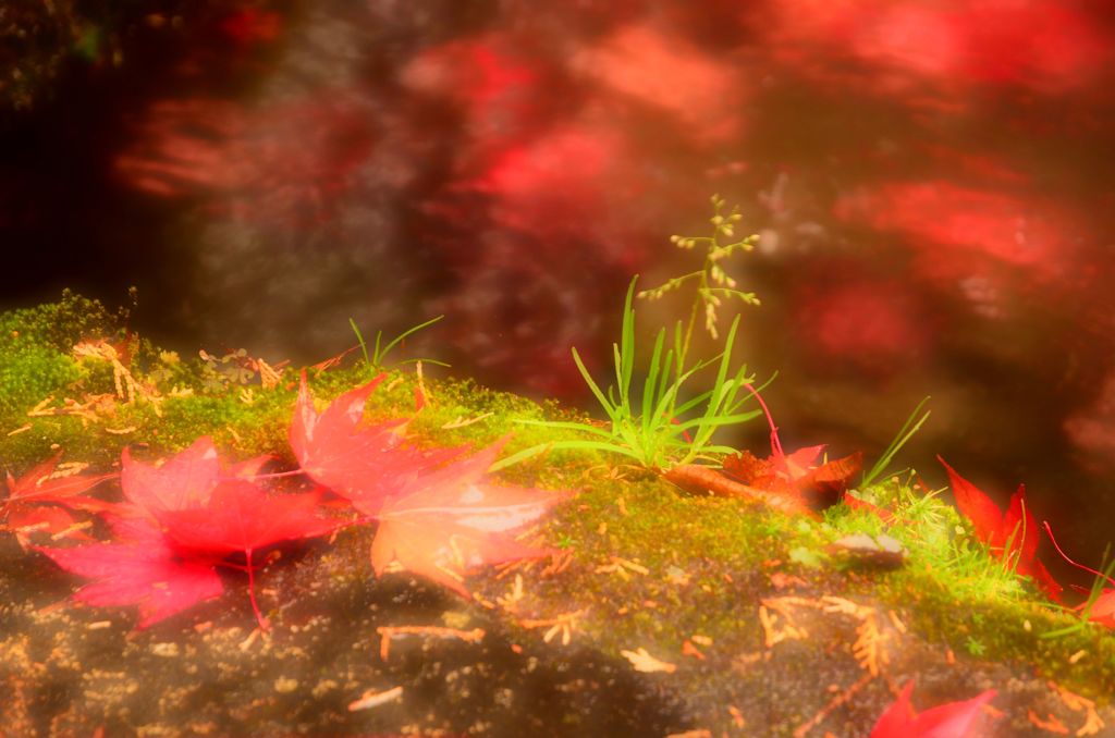 紅池