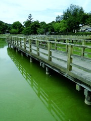 池と橋