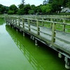 池と橋
