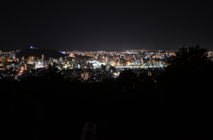 松山総合公園から