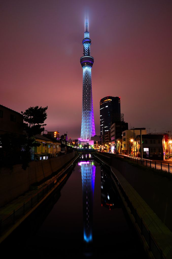 2013.11.09　東京スカイツリー「冬雅」(十間橋)