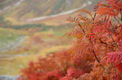 室堂の秋