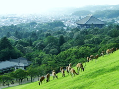 若草山と東大寺