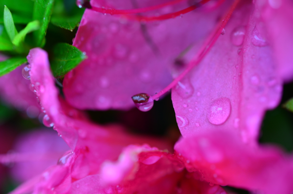 雨上がり