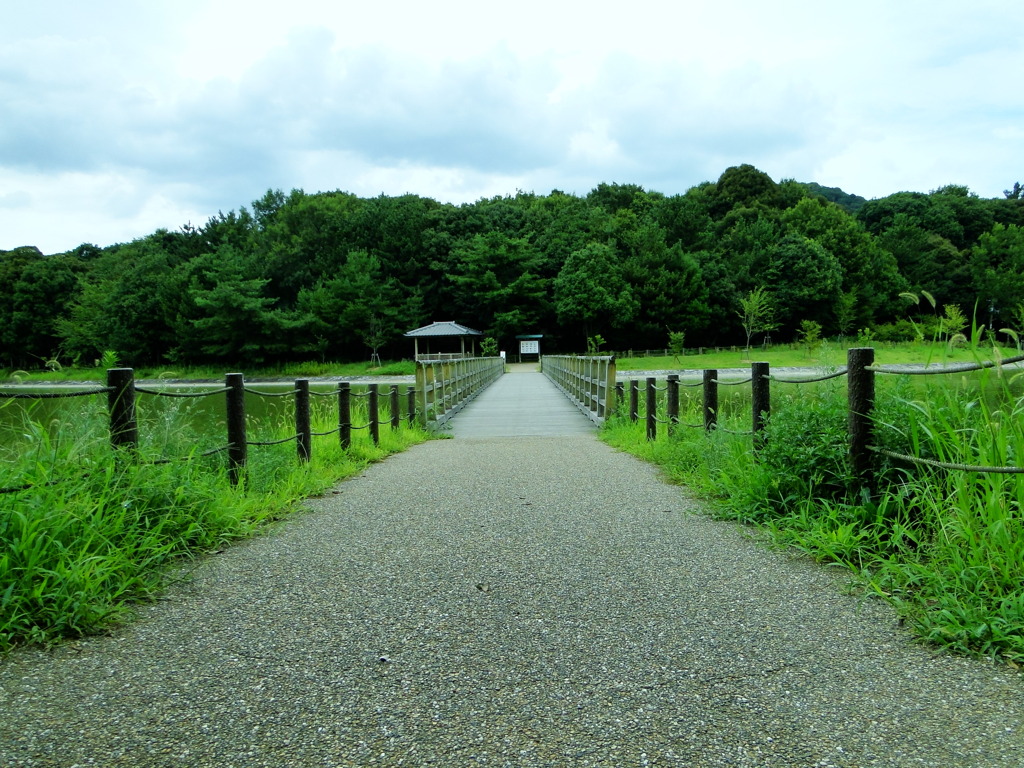 一本道
