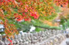 化野念仏寺