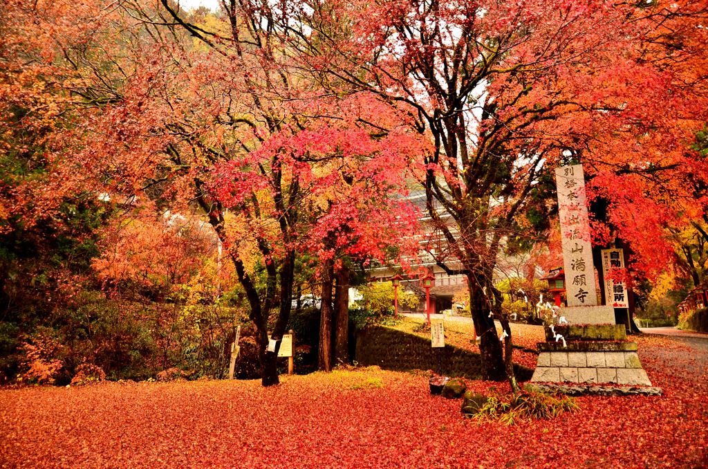秋の満願寺