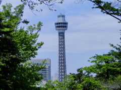 横浜マリンタワー