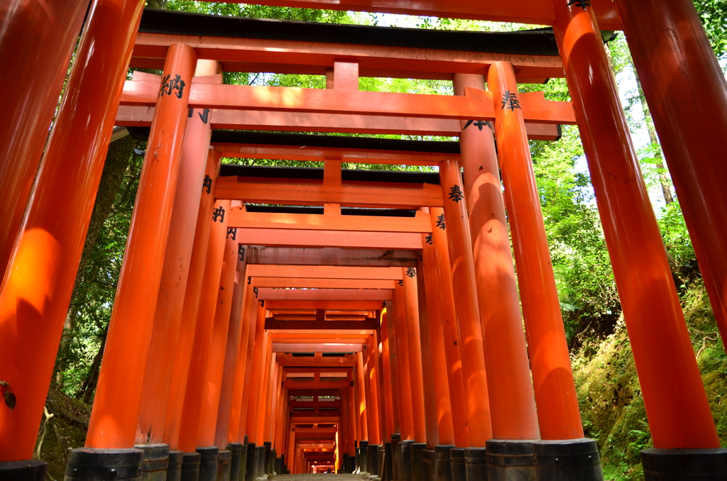 千本鳥居