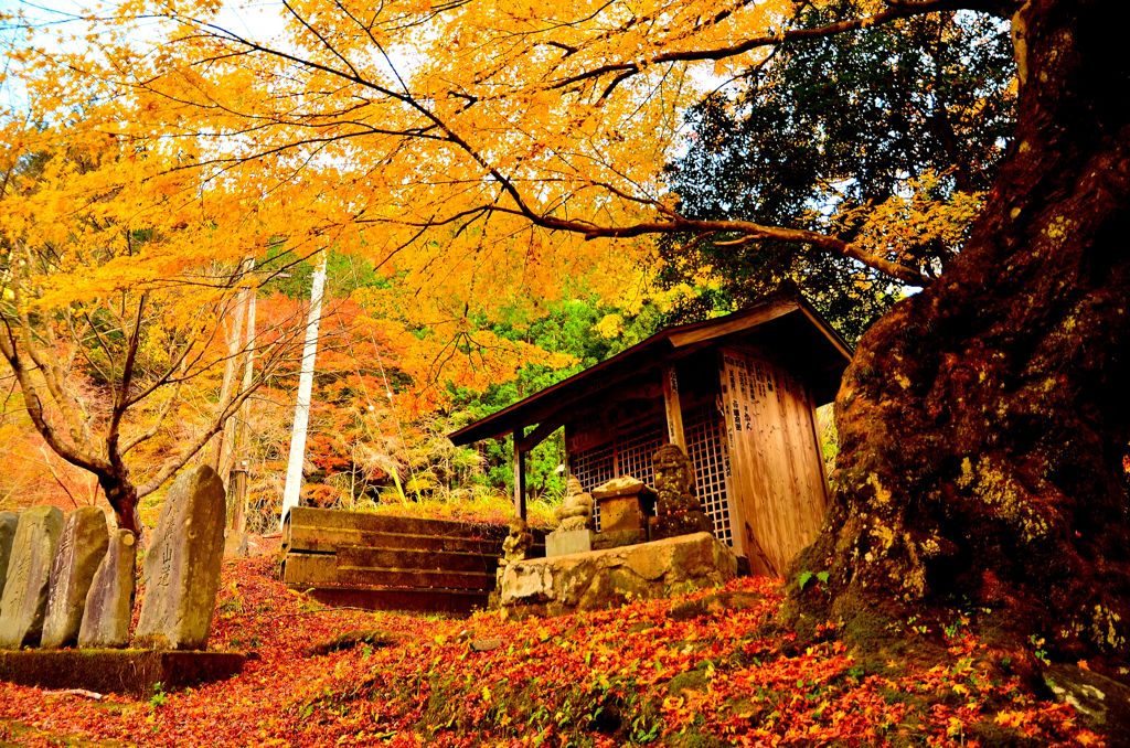 2014.11.23　八溝山登山口