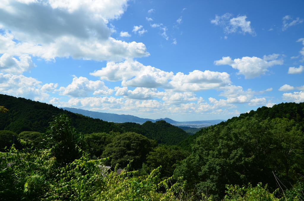 夏空