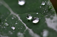 水滴