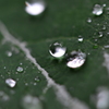 水滴