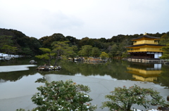 鹿苑寺金閣と鏡湖池