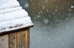積もる雪