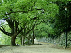 親子の休日
