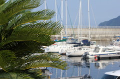 ヨットハーバーにて