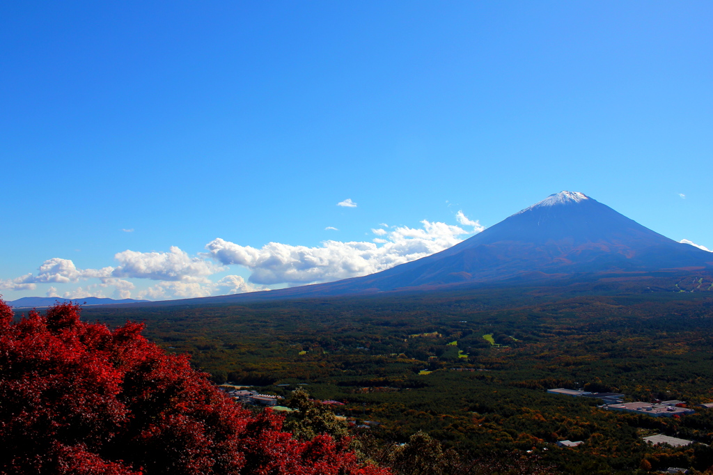 紅葉の富士