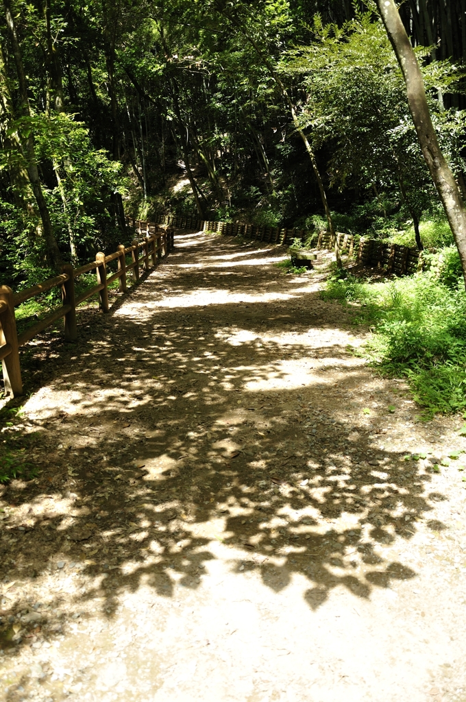 影踏み