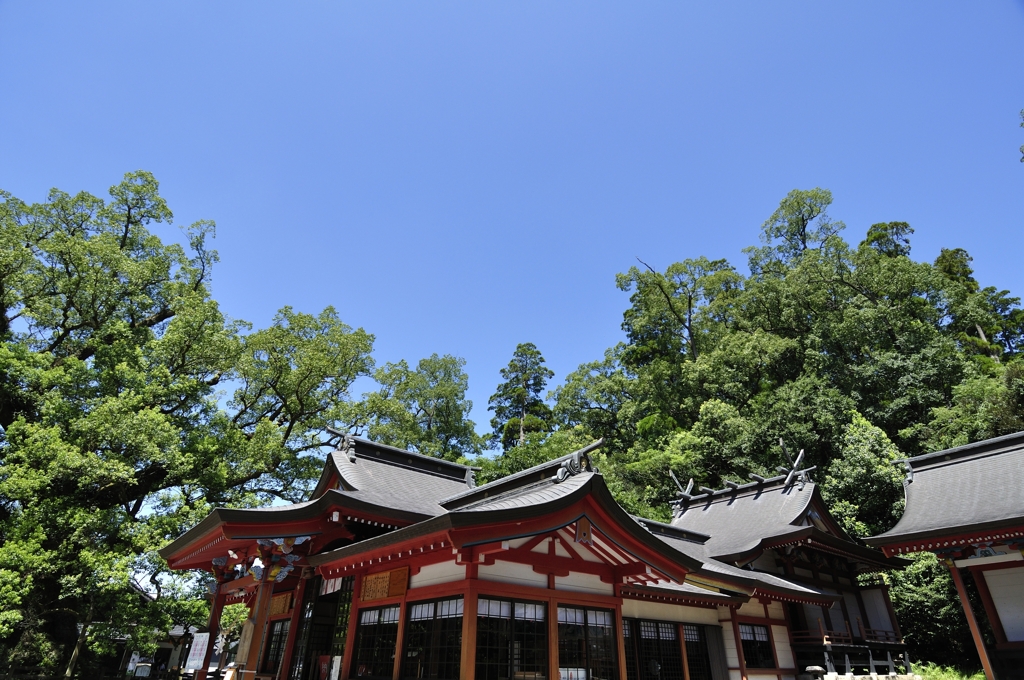 八幡神社