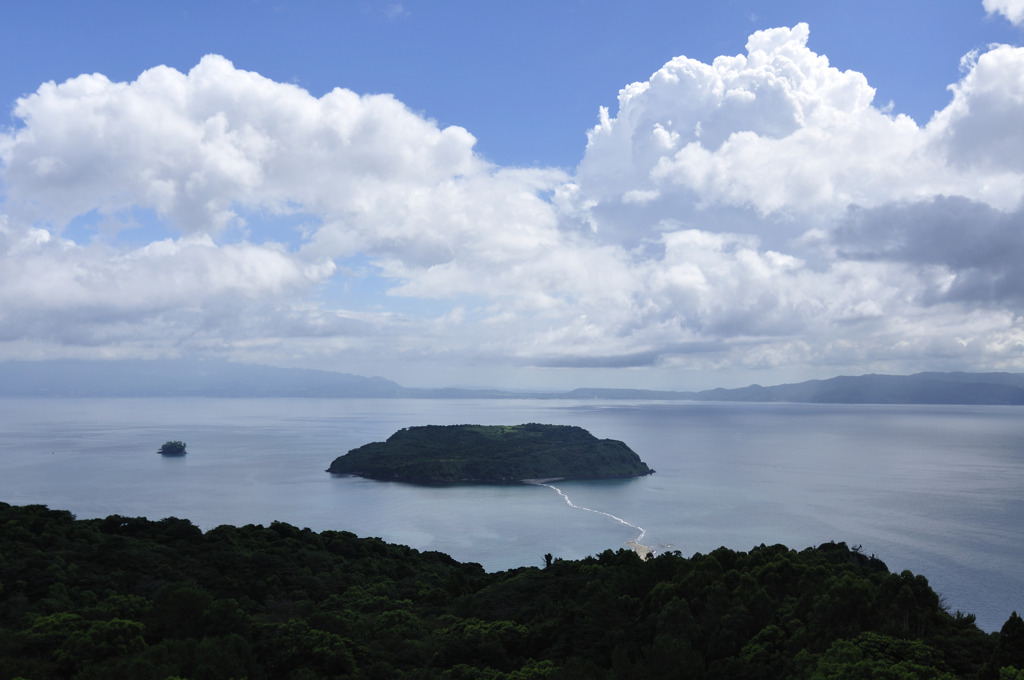 知林ヶ島