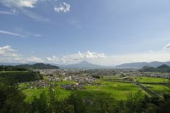 さえずりの森からの桜島