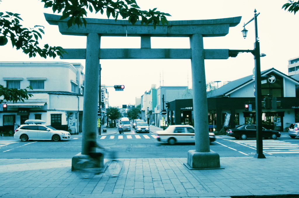 100818－とりい