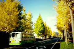 色とりどりの道