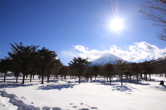 雪道