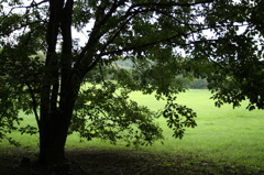 公園