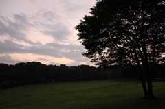 夏の夕景