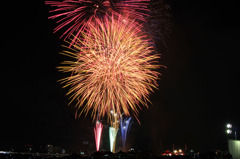 20100807なにわ淀川花火-114