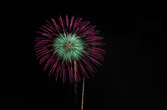 20100807なにわ淀川花火-188