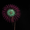 20100807なにわ淀川花火-188