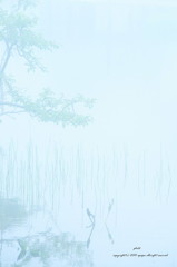 夏霧