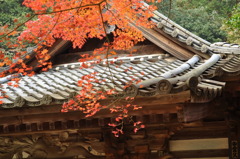 屋根