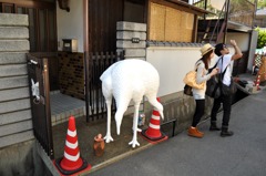 謎