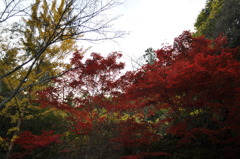 color