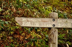 1.0km