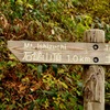1.0km